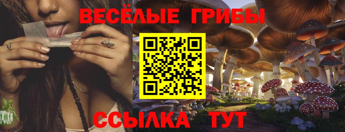 Псилоцибиновые грибы GOLDEN TEACHER  Вход с VPN  Псилоцибиновые грибы Psilocybine cubensis  цена наркотик  Лабытнанги 